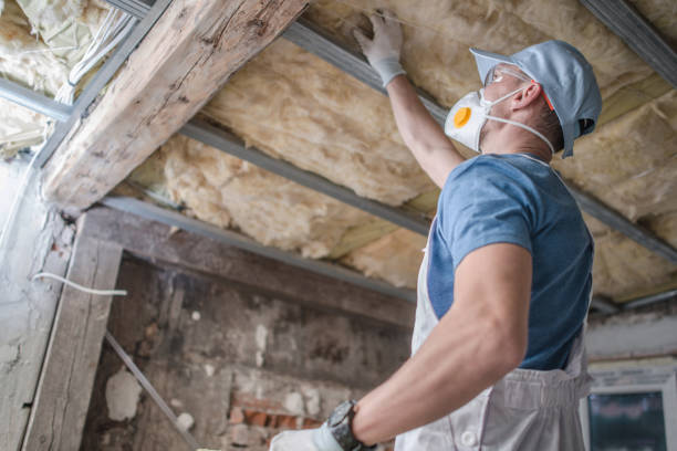 Best Soundproof Insulation Installation  in Santa Teresa, NM