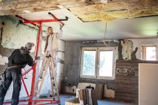 Best Professional Insulation Contractor  in Santa Teresa, NM