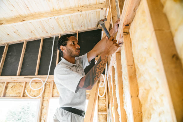 Best Home Insulation Services  in Santa Teresa, NM