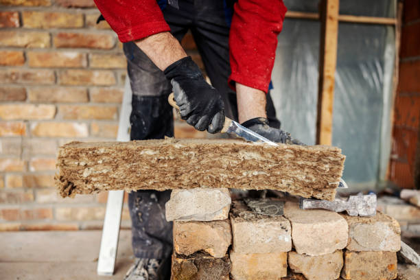 Best Insulation for Commercial Buildings  in Santa Teresa, NM